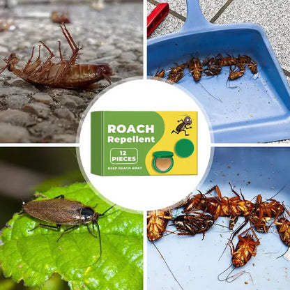 Wazendor™ Plant-Powered Roach Repellent (Pet & Kid Friendly)