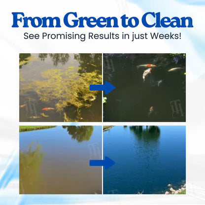 Wazendor® Aqua-Sentra Pro Formula– End Algae Nightmares, Restore Your Pond’s Beauty Fast!